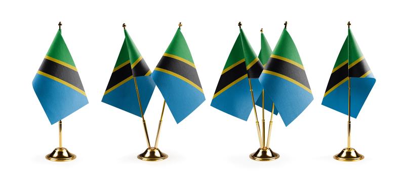 A row of small Tanzanian flags on flagpoles. The Tanzanian flag has an upper section of green and a lower section of blue, with a diagonal black line crossing through the middle outlined in yellow.