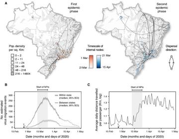 figure 4 andreza article