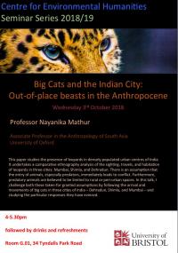 Nayanika Mathur Bristol lecture