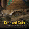 Book cover cc