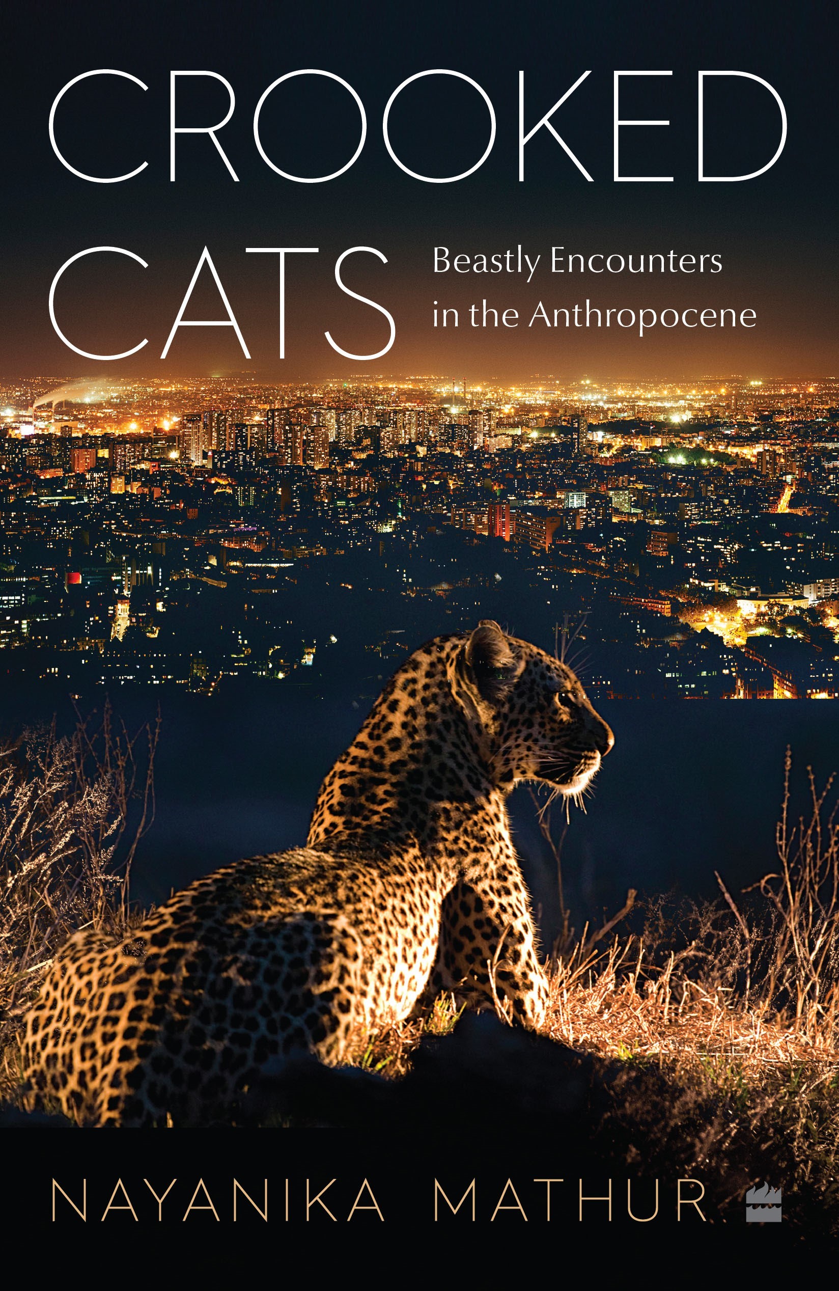 Book cover for 'Crooked Cats: Beastly Encounters in the Anthropocene' by Nayanika Mathur. The cover shows a leopard sitting down in the grass on a hill overlooking a town at night