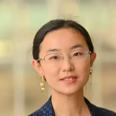 wenqi zhao