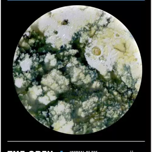 open review clorrie yeomans