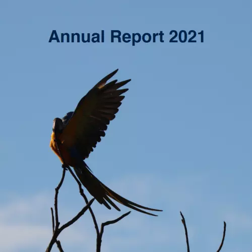 screenshot 2022 02 07 at 11 54 31 annual report bsp 2021 pdf