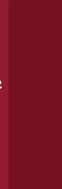 A Chinese character from the Contemporary China Studies logo